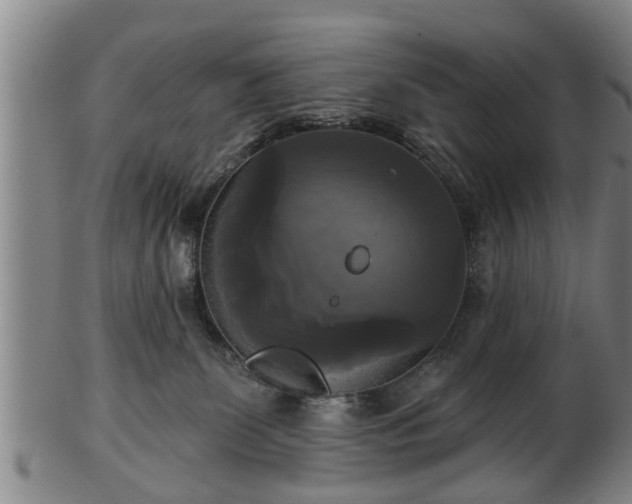 X0000103220131200809041011