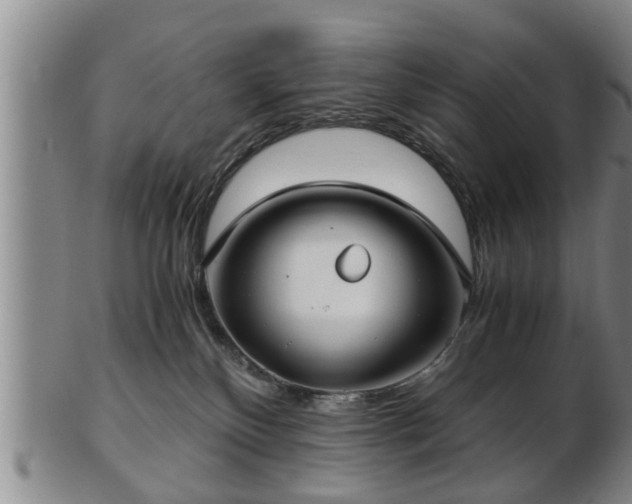 X0000103220136200809041011