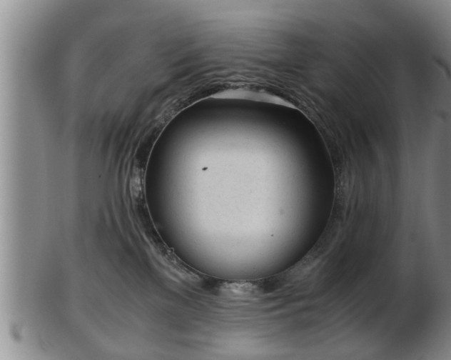 X0000103220137200809041011