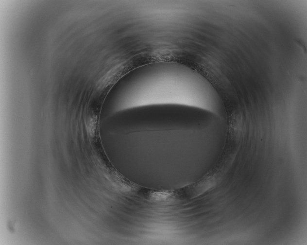 X0000103220139200809041011