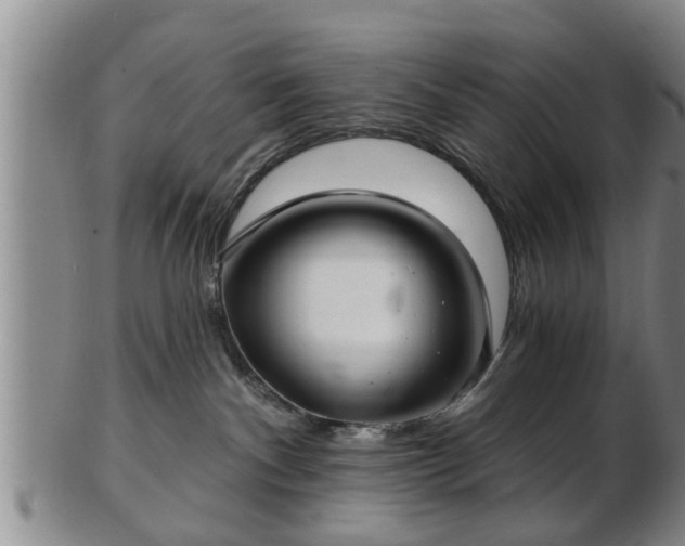 X0000103220140200809041011