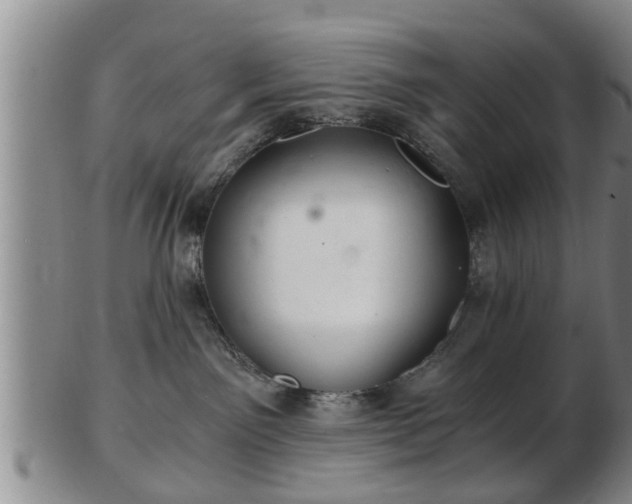 X0000103220141200809041011