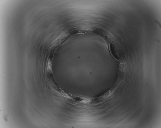 X0000103220143200809041011