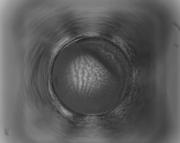 X0000103220145200809041010