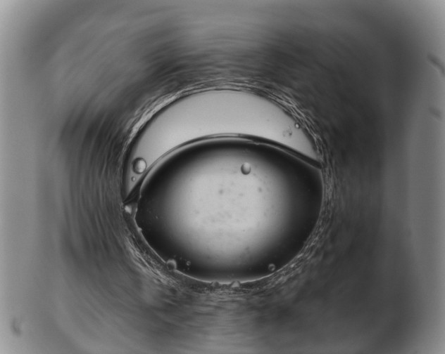 X0000103220146200809041010