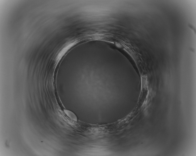 X0000103220147200809041010