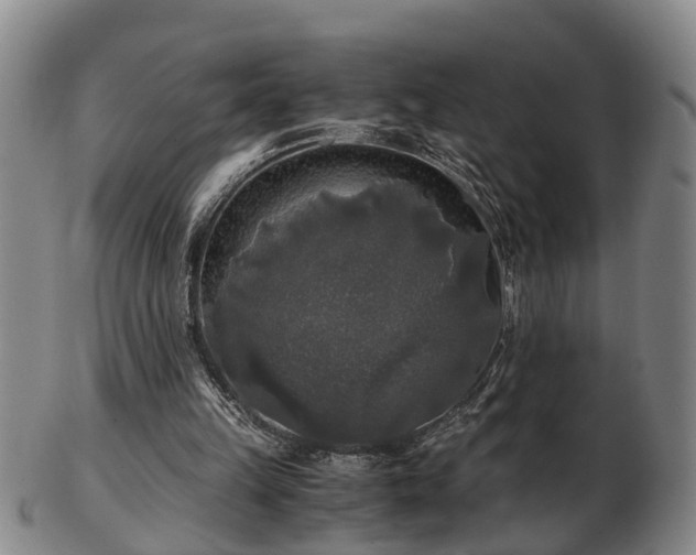 X0000103220149200809041010