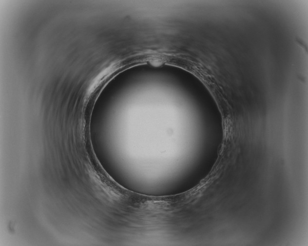 X0000103220150200809041010