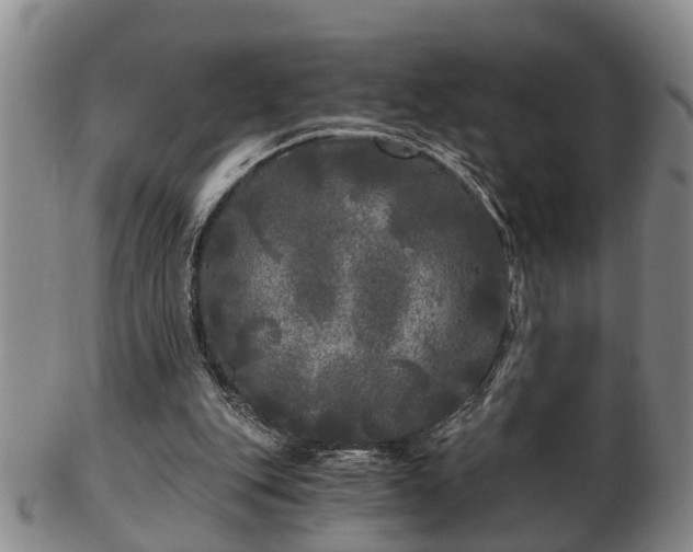 X0000103220151200809041010