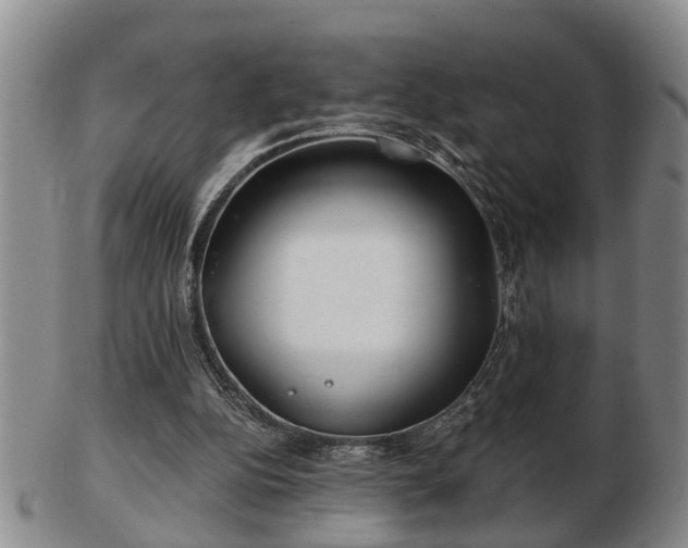 X0000103220152200809041010