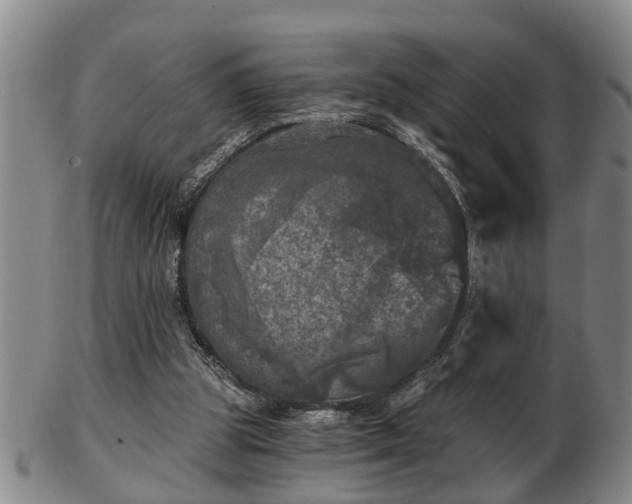 X0000103220153200809041010