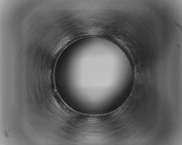 X0000103220154200809041010