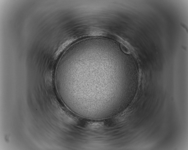 X0000103220155200809041010