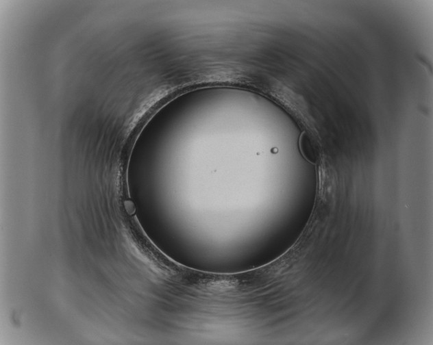 X0000103220156200809041010