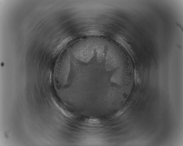 X0000103220157200809041010