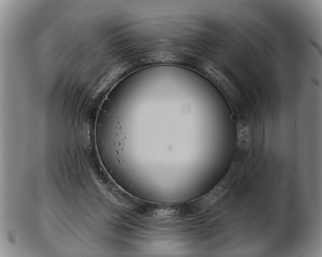 X0000103220158200809041010