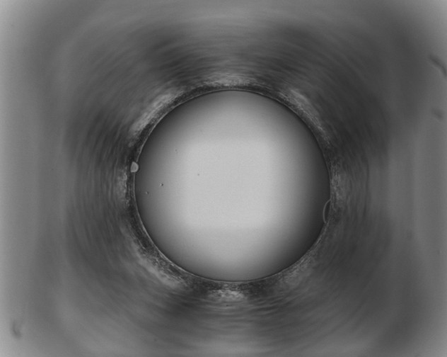 X0000103220159200809041010