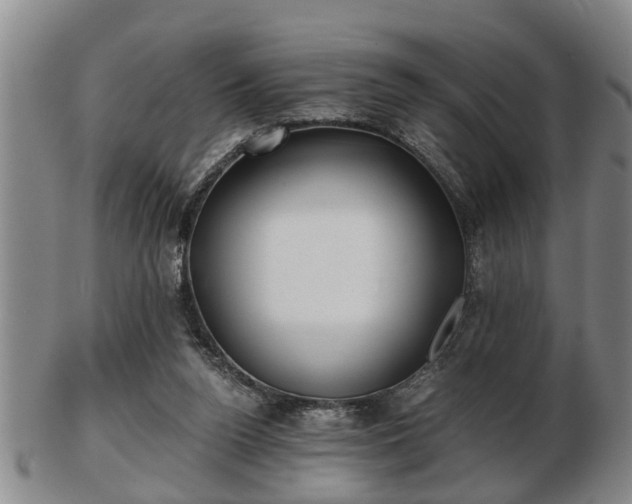 X0000103220160200809041010