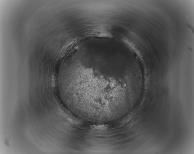 X0000103220161200809041010