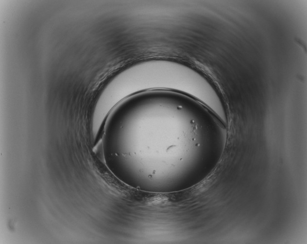 X0000103220162200809041010