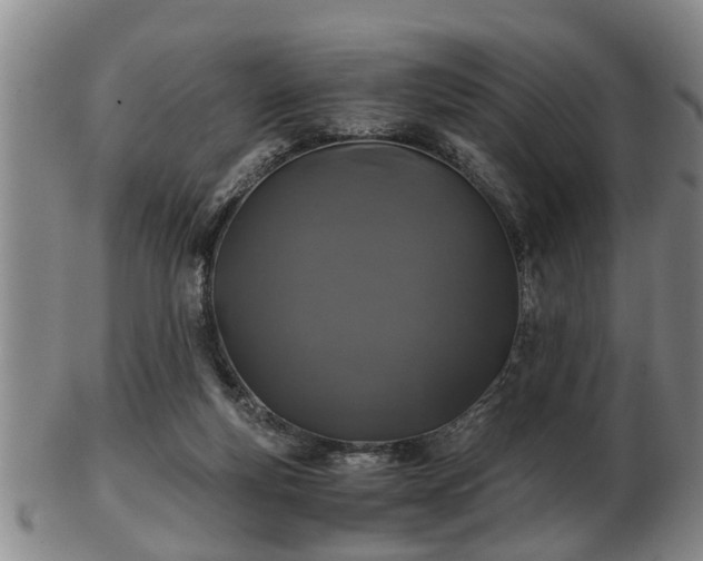 X0000103220163200809041010