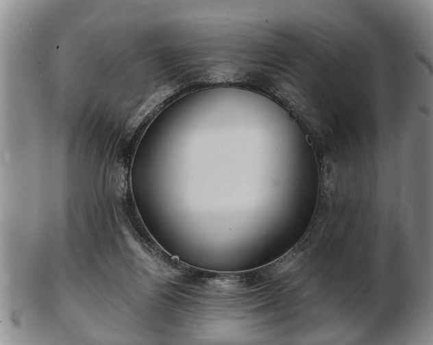 X0000103220164200809041010