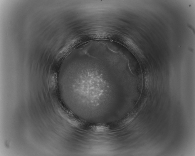 X0000103220165200809041010