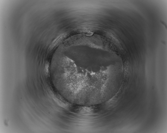 X0000103220166200809041010