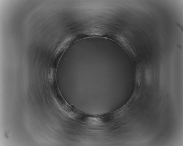 X0000103220167200809041010