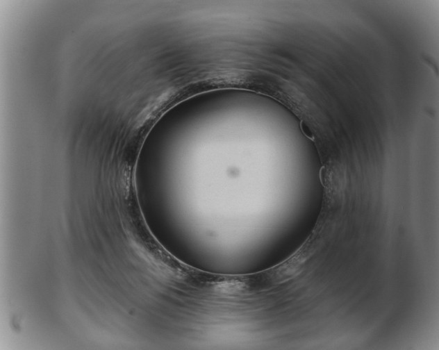 X0000103220168200809041010