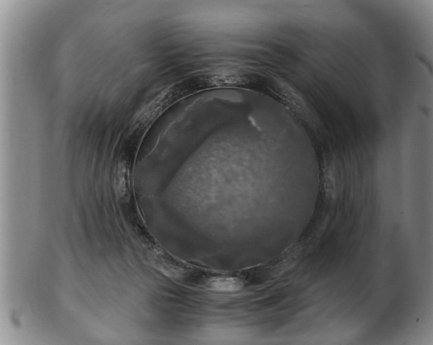 X0000103220169200809041010