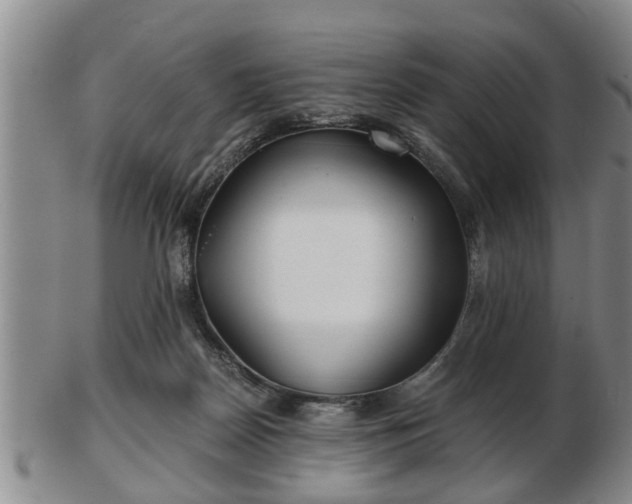 X0000103220170200809041010