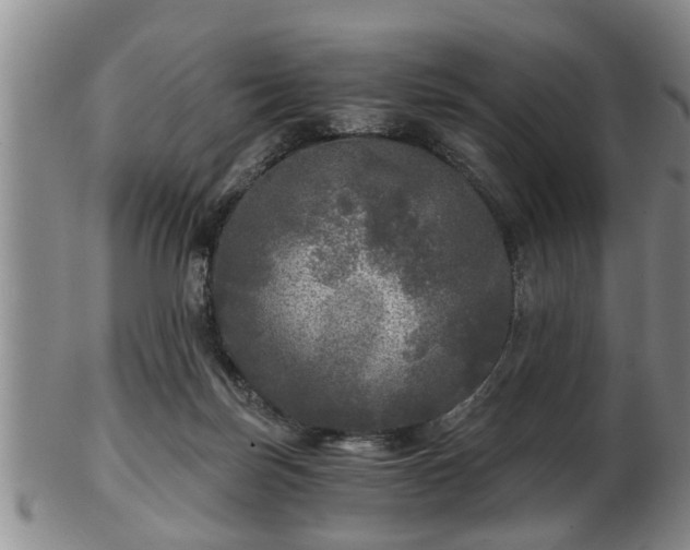 X0000103220171200809041010