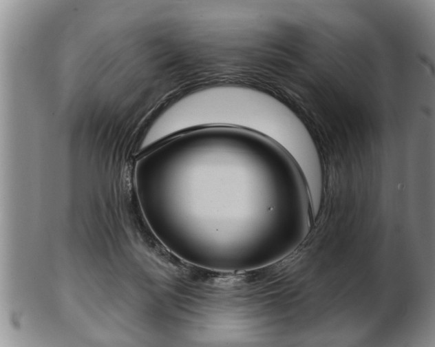 X0000103220172200809041010