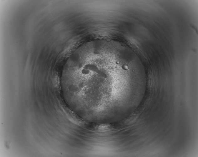 X0000103220173200809041010