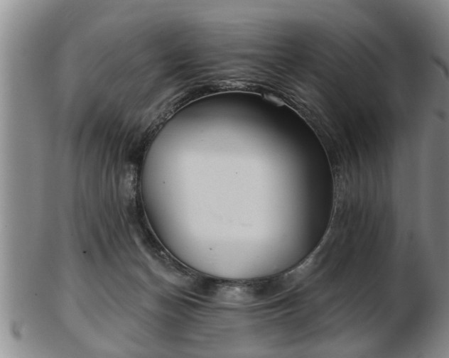 X0000103220174200809041010