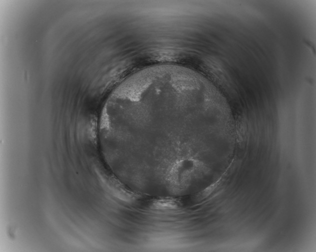 X0000103220175200809041010