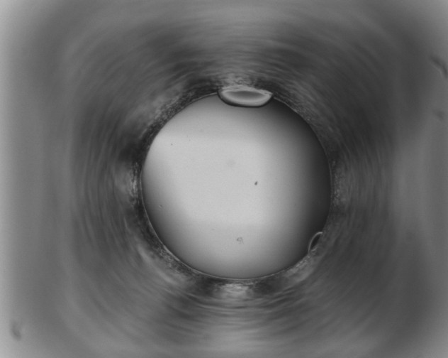 X0000103220176200809041010