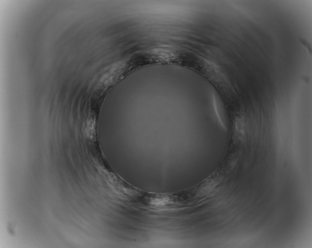 X0000103220177200809041010