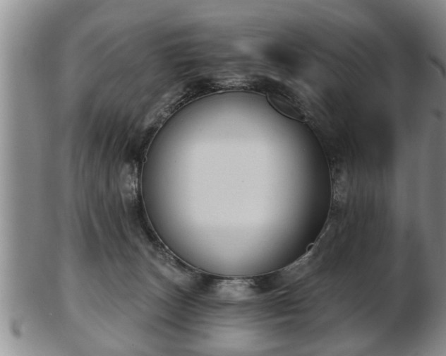 X0000103220179200809041010