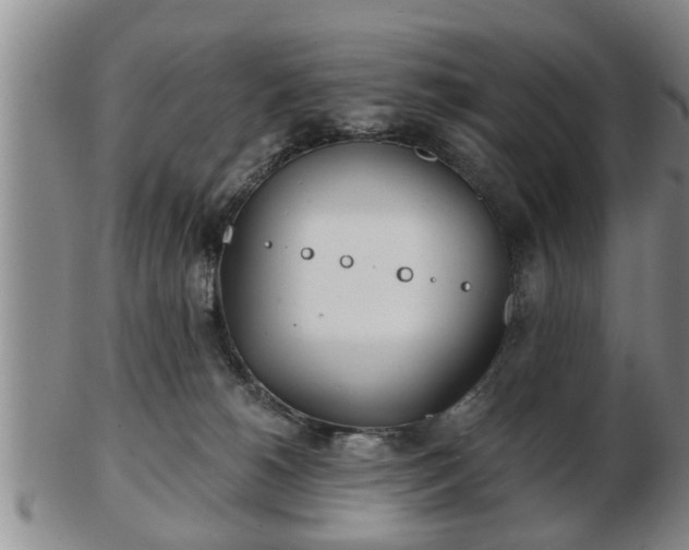 X0000103220180200809041010