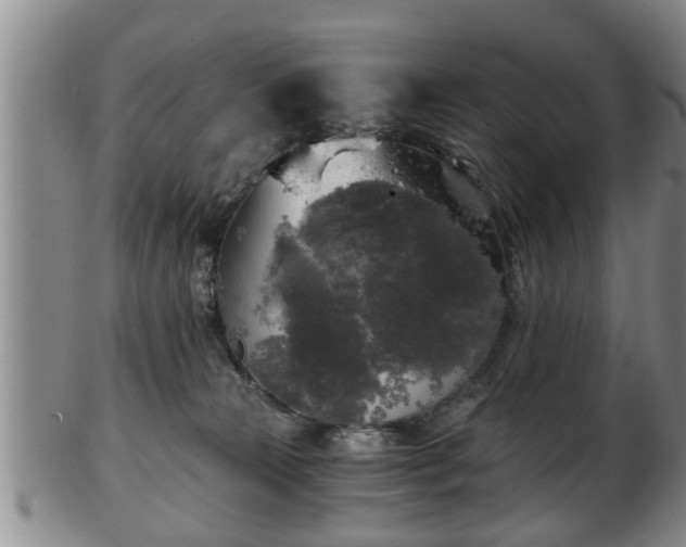 X0000103220181200809041010