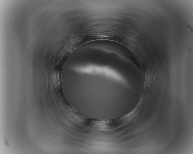 X0000103220182200809041010