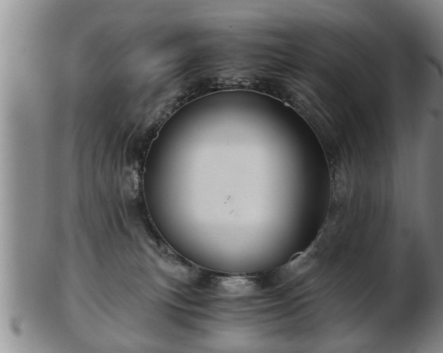 X0000103220183200809041010