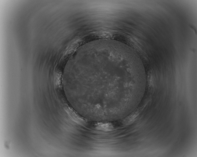 X0000103220185200809041010