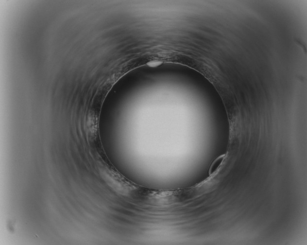 X0000103220186200809041010