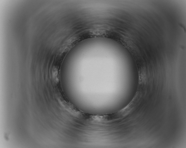 X0000103220187200809041011