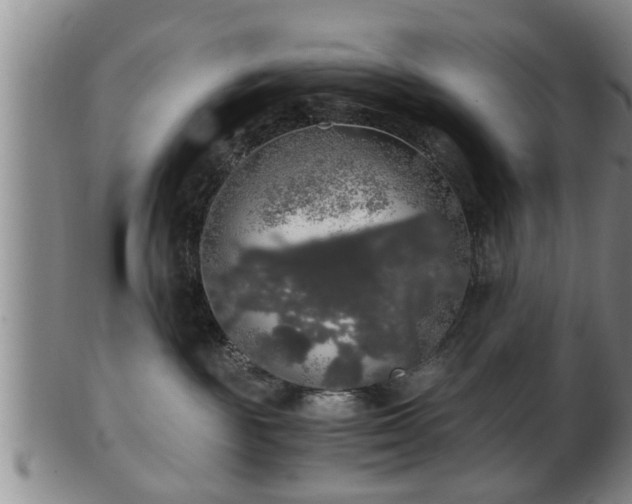 X0000103220189200809041011