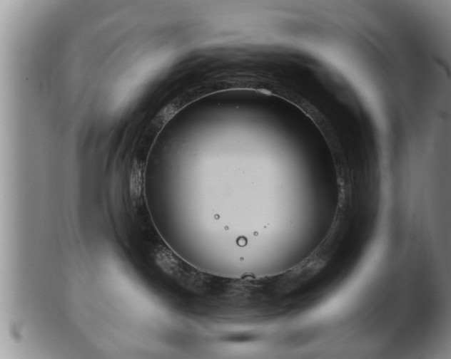 X0000103220190200809041011