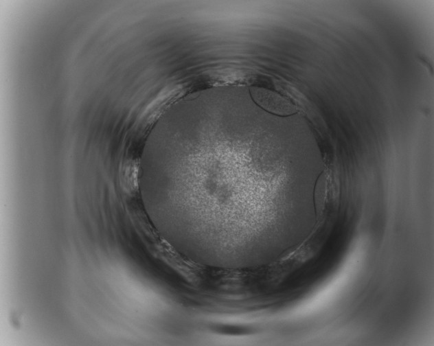 X0000103220191200809041011